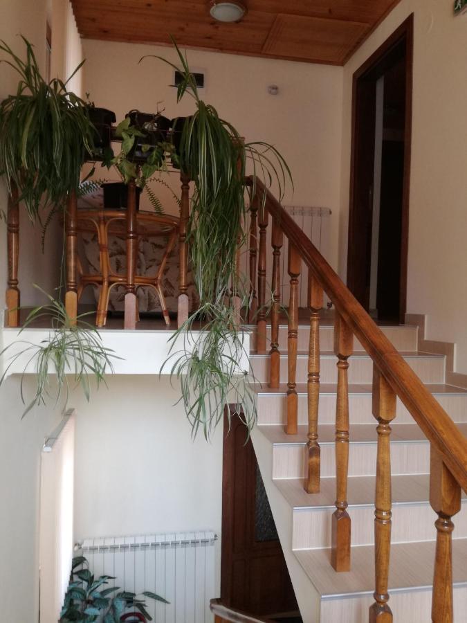 דבין Guest House Benita מראה חיצוני תמונה