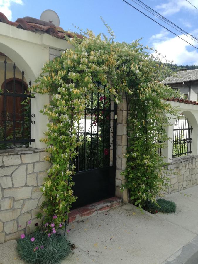 דבין Guest House Benita מראה חיצוני תמונה