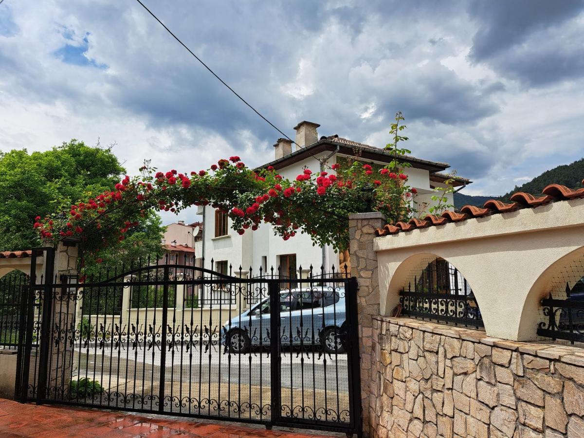 דבין Guest House Benita מראה חיצוני תמונה